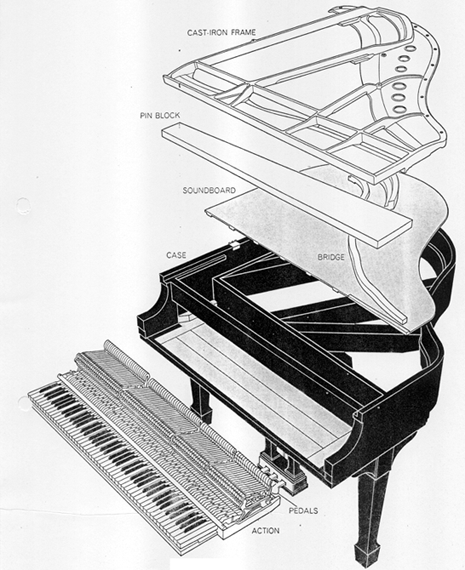 Piano Anatomy